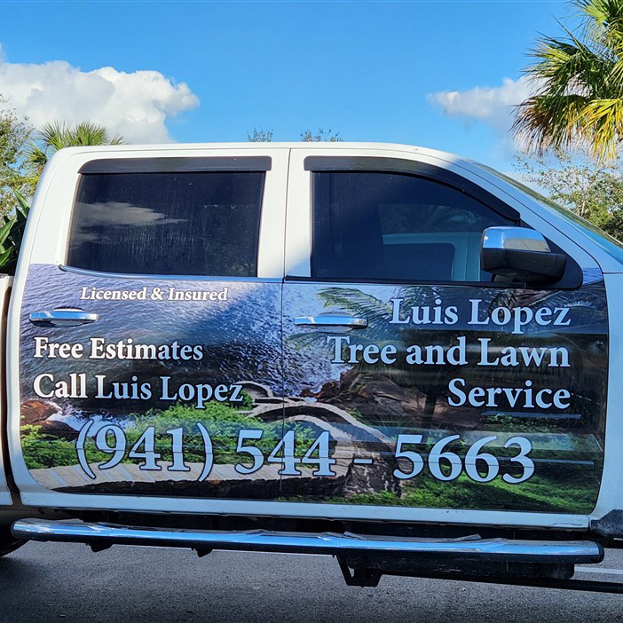 Vehicle Wraps